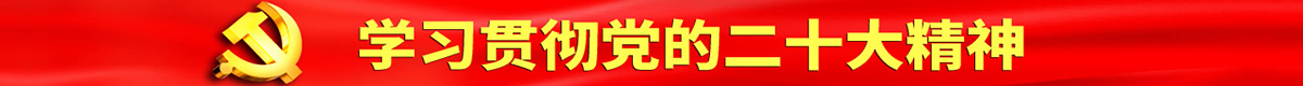 二十大精神